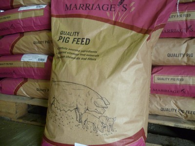 Pig Food p1030272-qpr