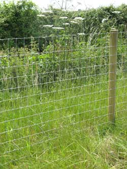 equifence-250