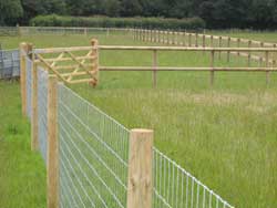 equirailgate_250